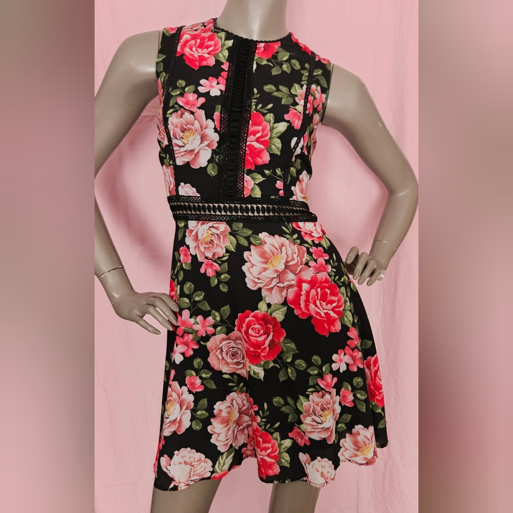 Disney Black and Red Floral Midi Dress